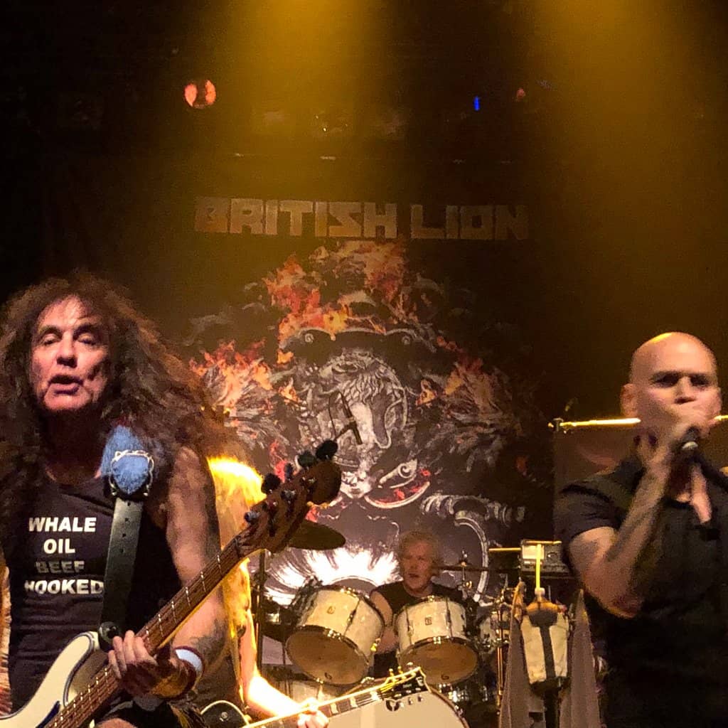 Live Music Performances