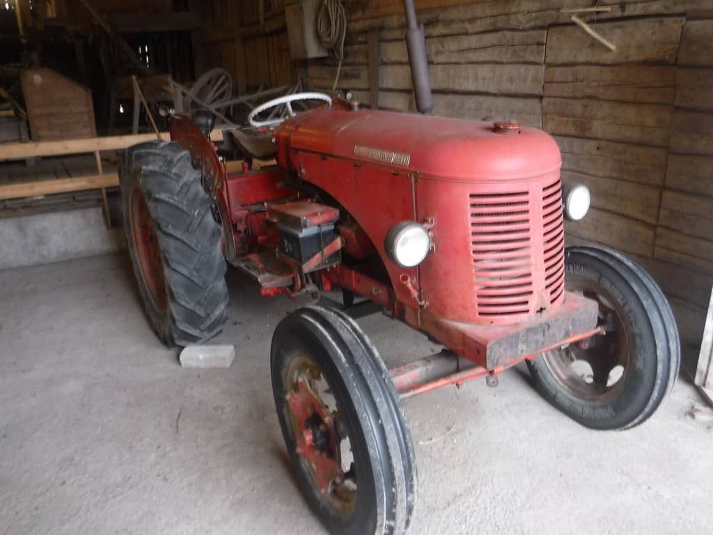 Farm Animals Outdoors