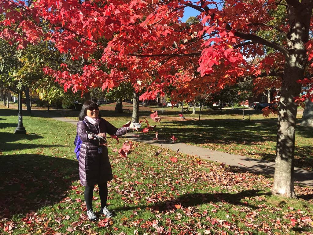 Community Rally Spot