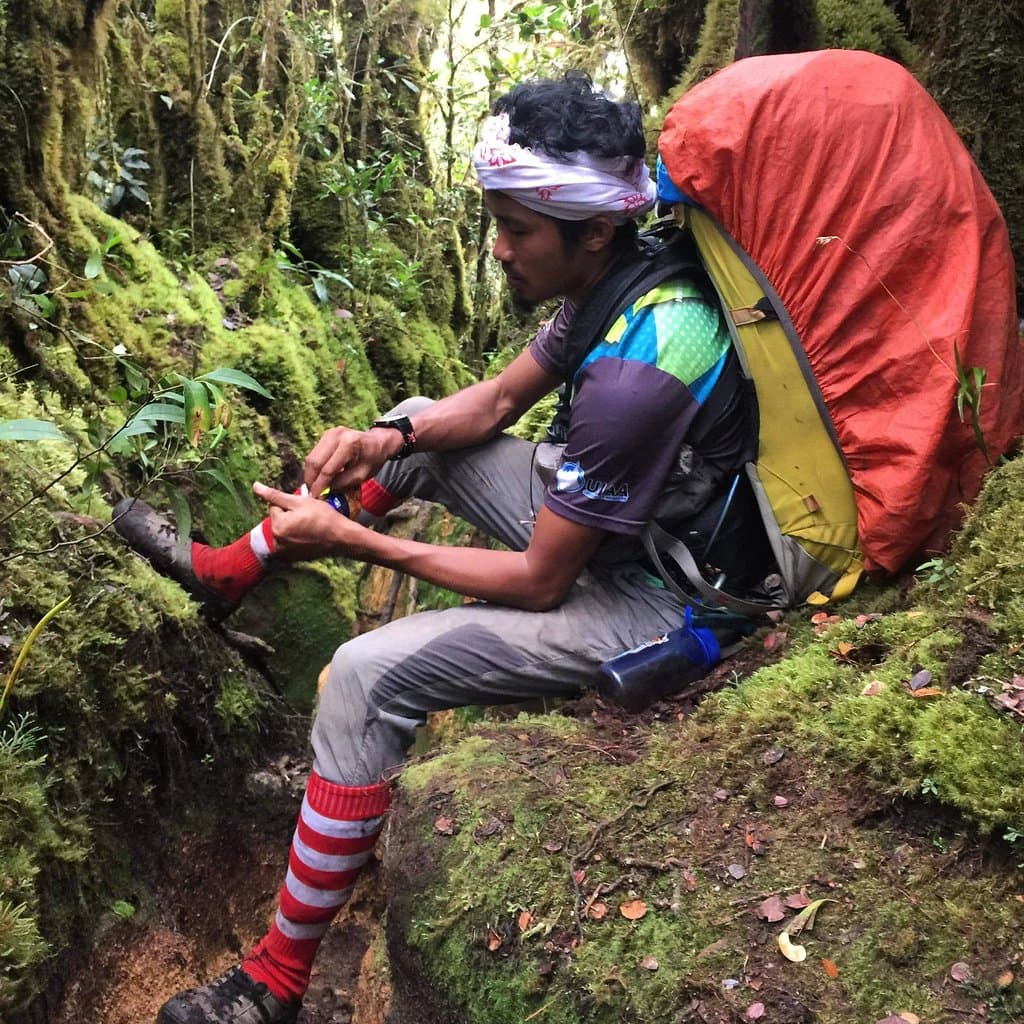 Experience our rainforest multipeak hiking expedition. Spend your 3 days 2 nights in the jungle with our experience mountain guide.