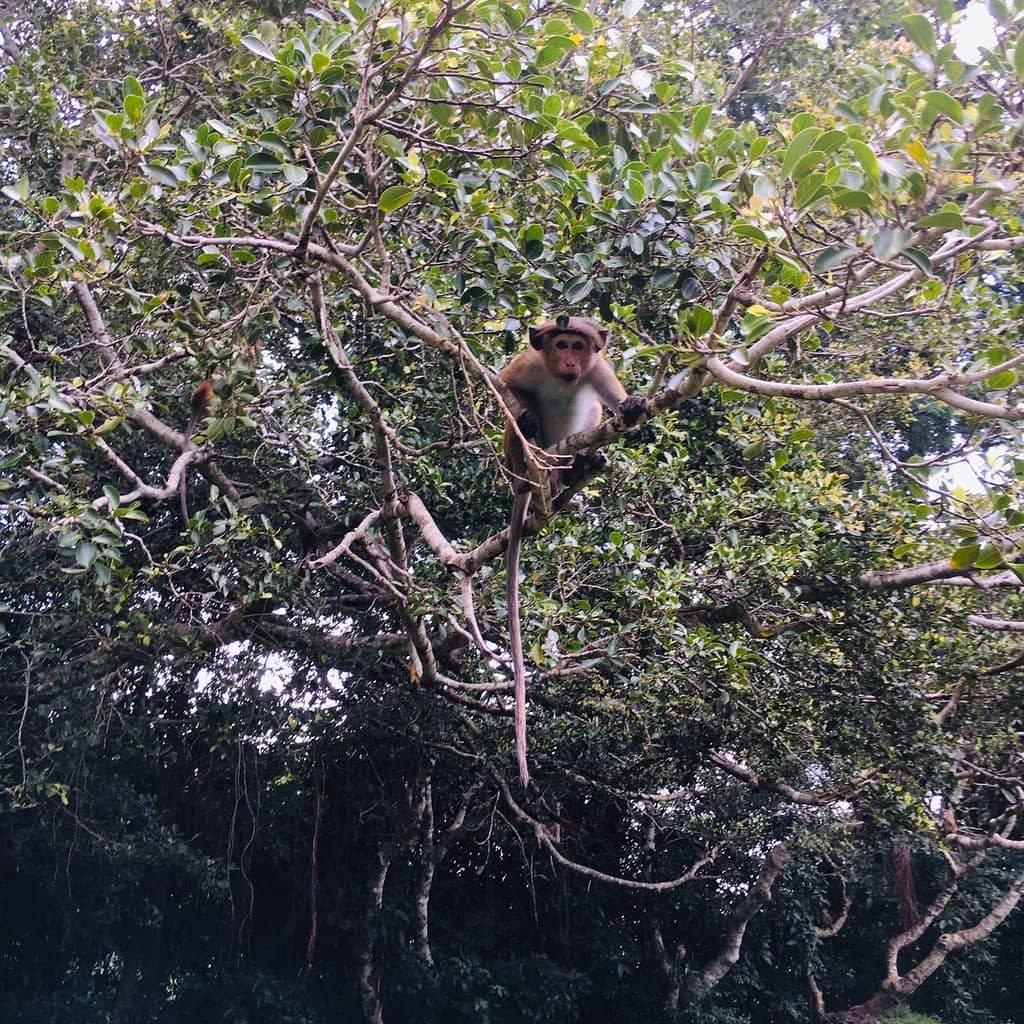 Vertical photo