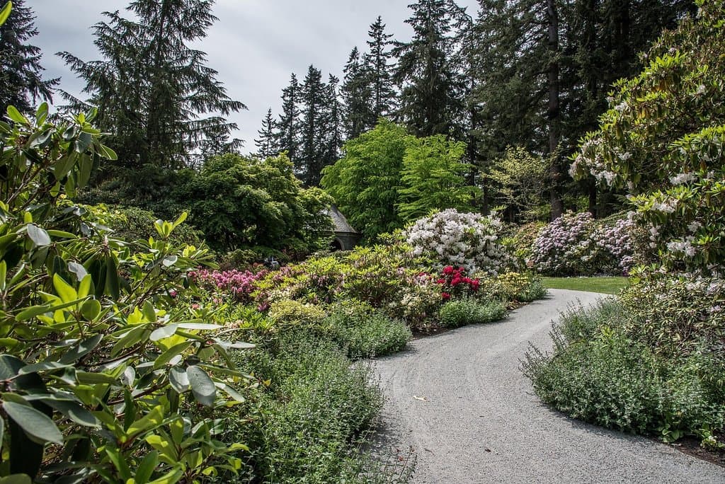 Entry Garden
