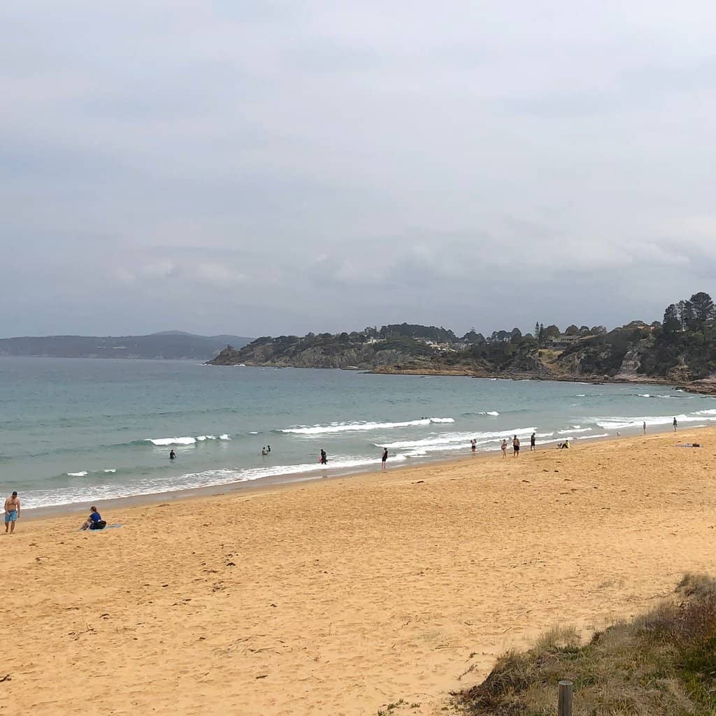 Dog-Friendly Beach Walks