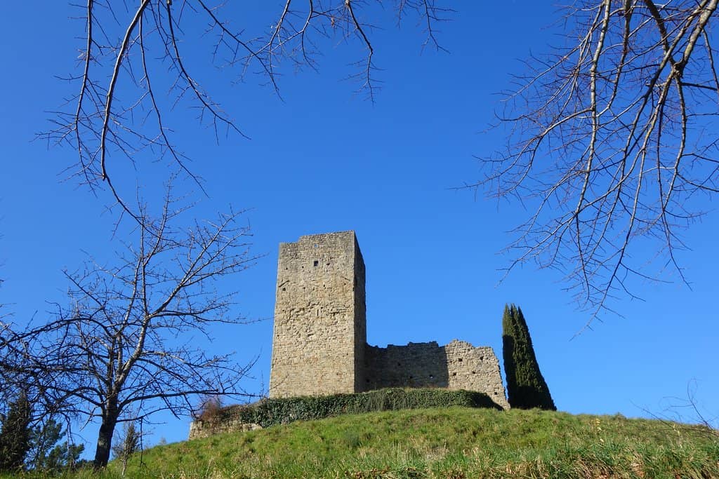 Vertical photo