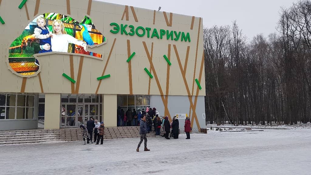 Reptile and Insect Exhibits