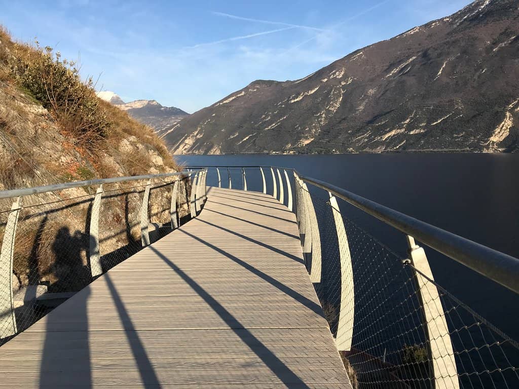 Early Morning Serenity