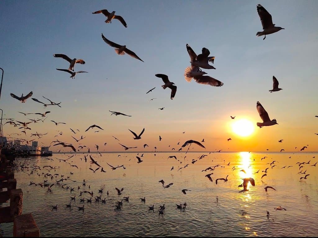 Bang Pu Seaside Bangkok