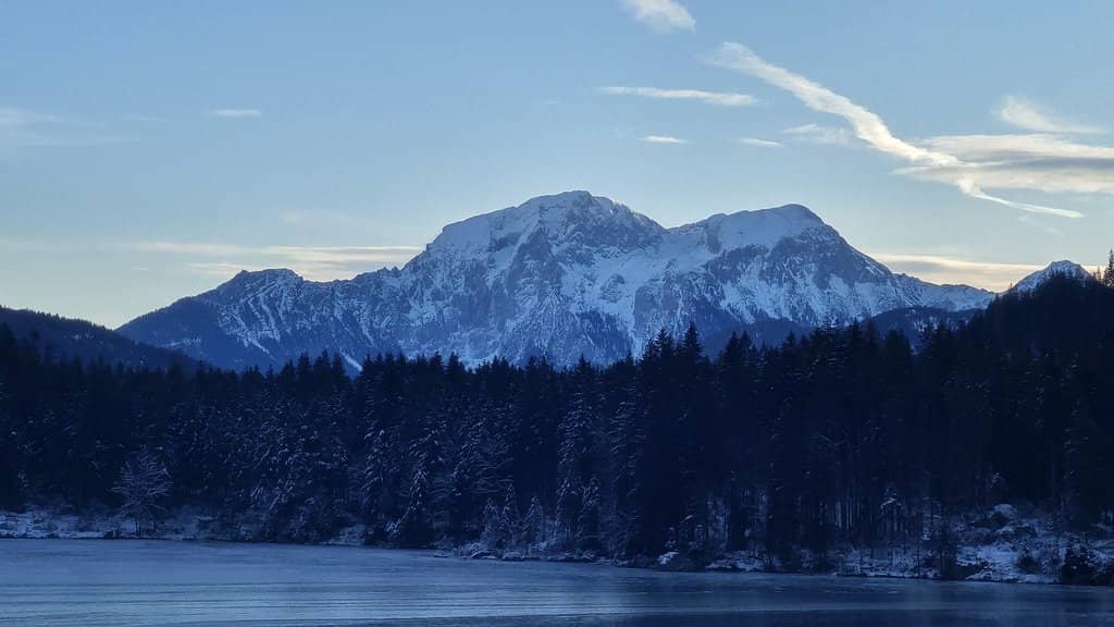 Zauberwald (Enchanted Forest)