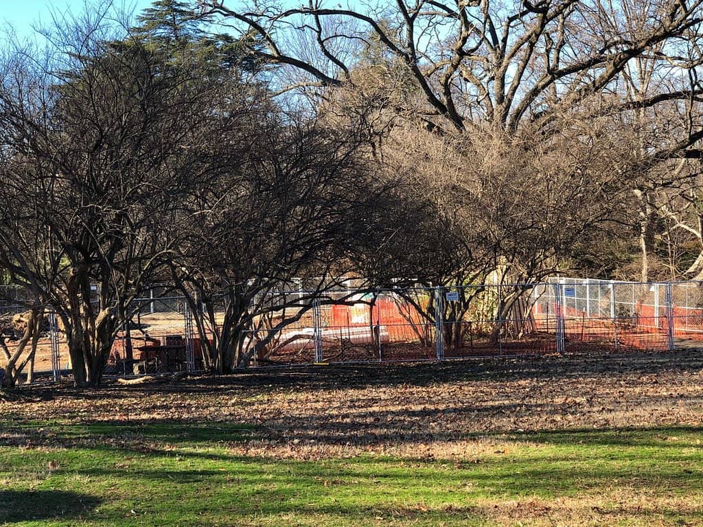 Playground & Open Lawns