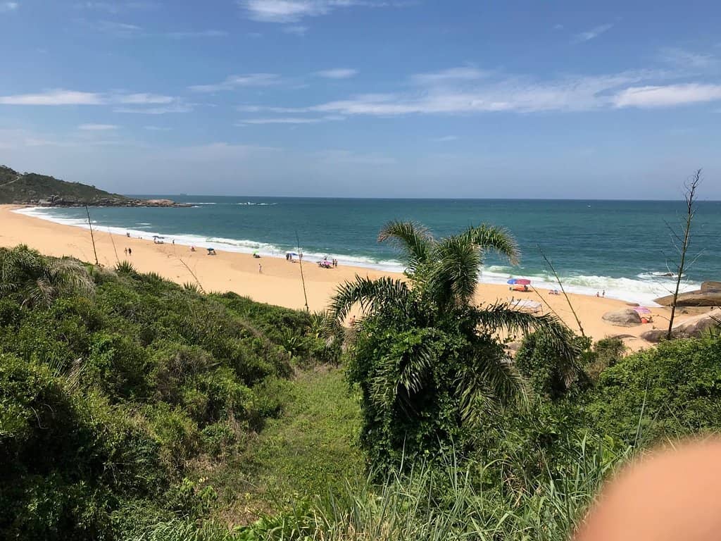 Peaceful Picnic Spot