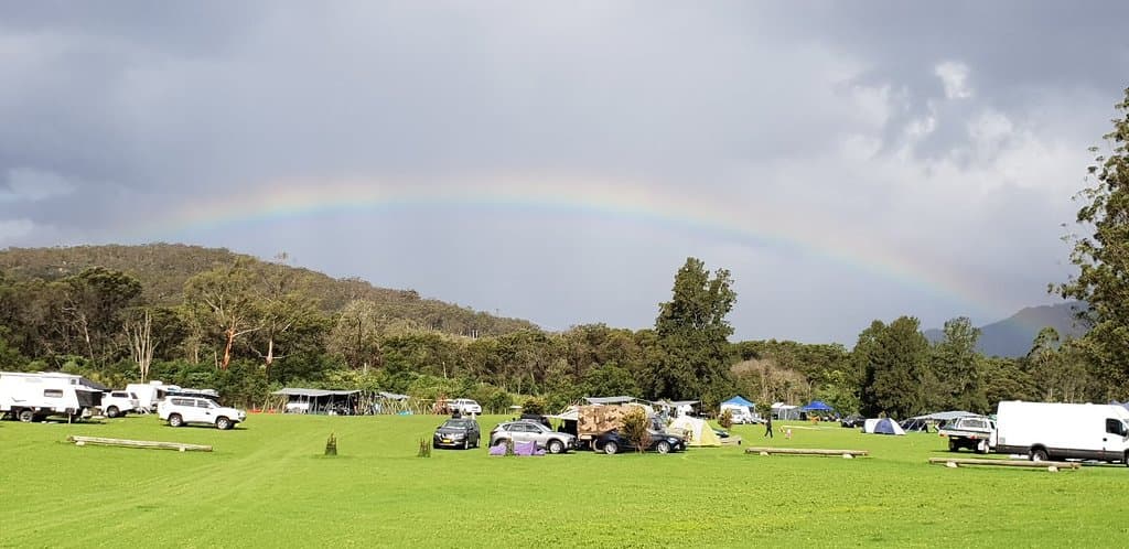See Kangaroos and Wombats in the Wild at Kangaroo Valley