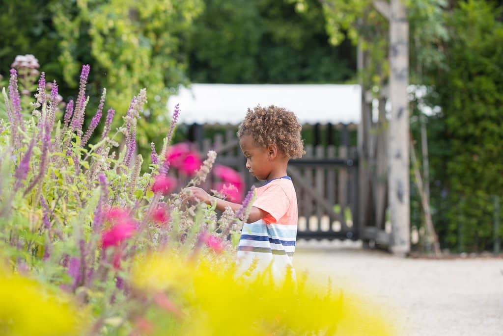 Woodland Walks & Fungi