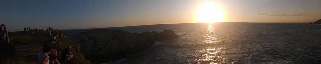 Whale Watching Opportunities