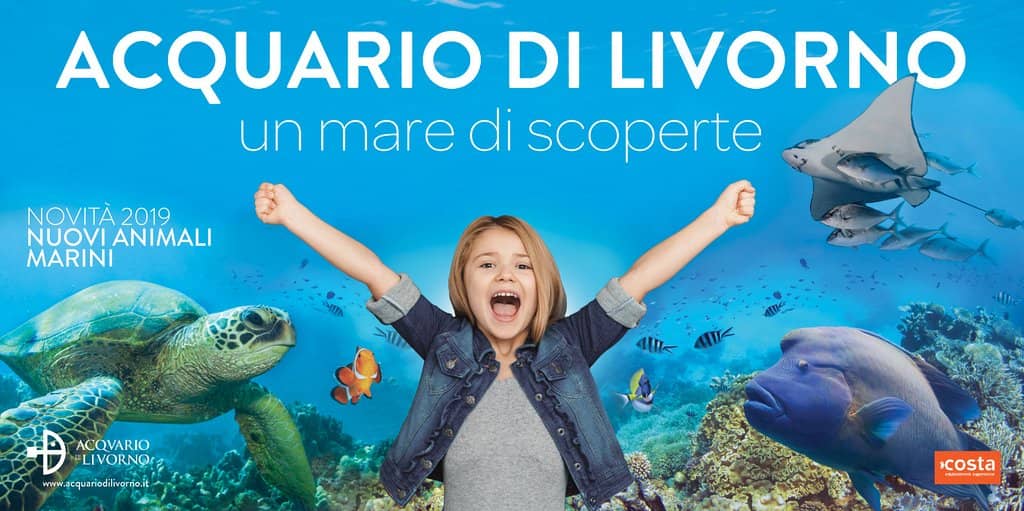 Coral Reefs and Fish