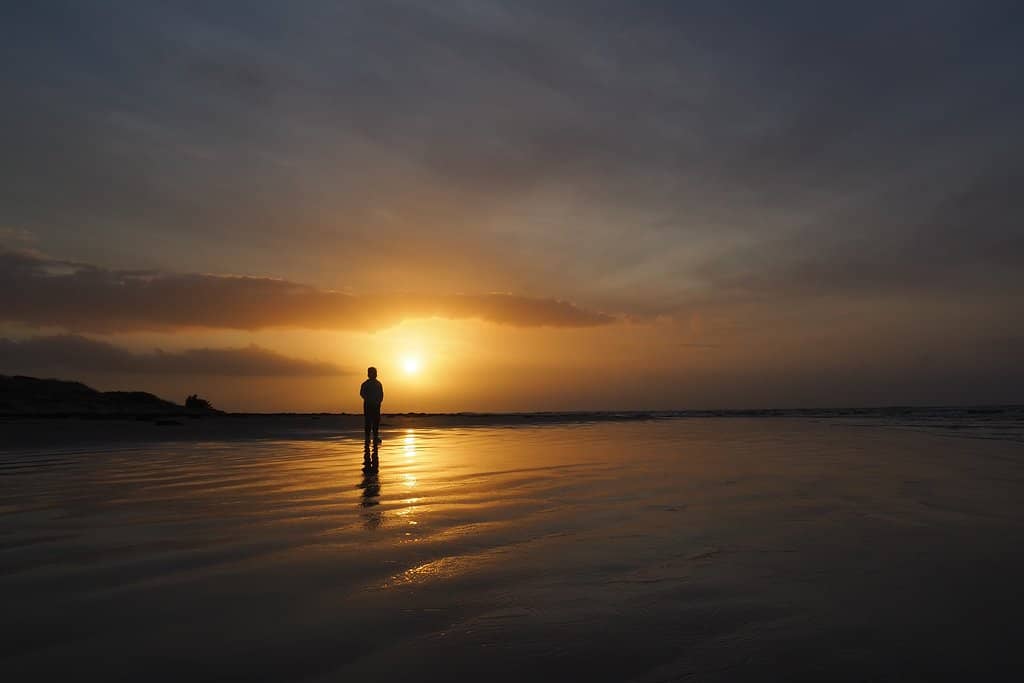 Family Beach & Rockpools