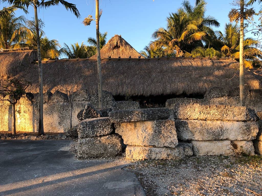 Tropical Fruit Wines