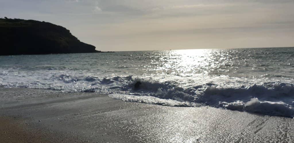 Secluded Cove Experience