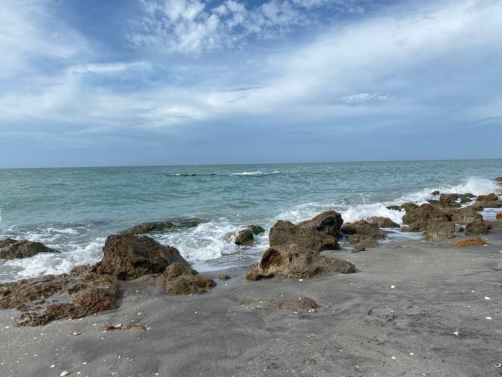 Tranquil Nature Walks