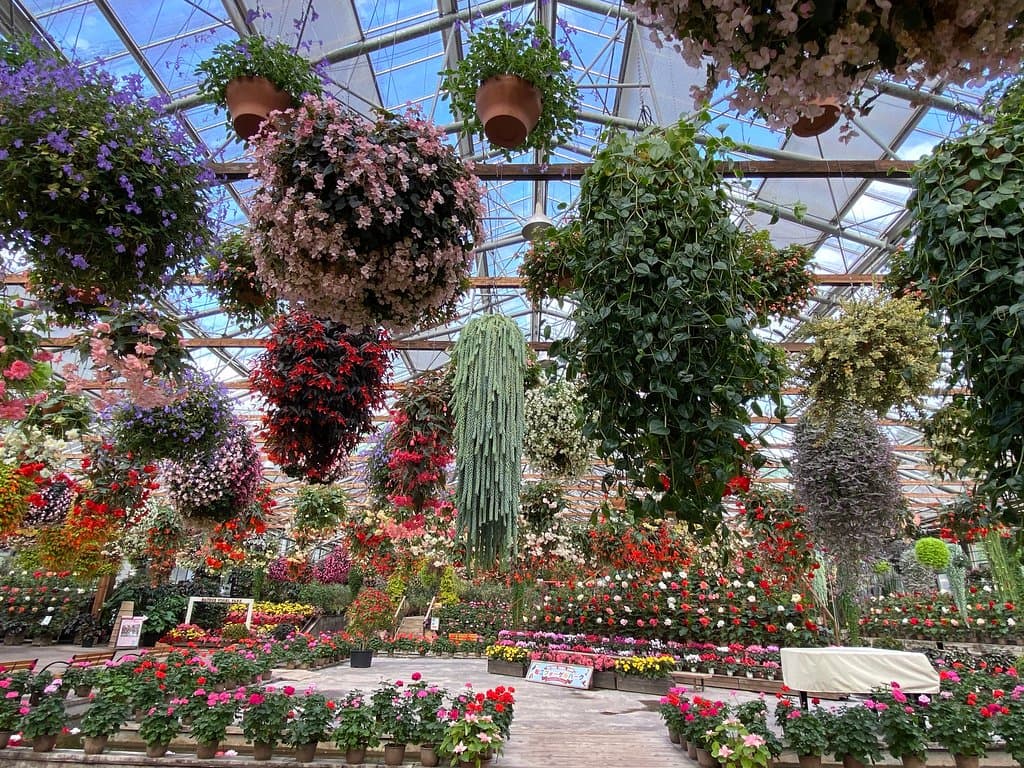 入口處的大溫室