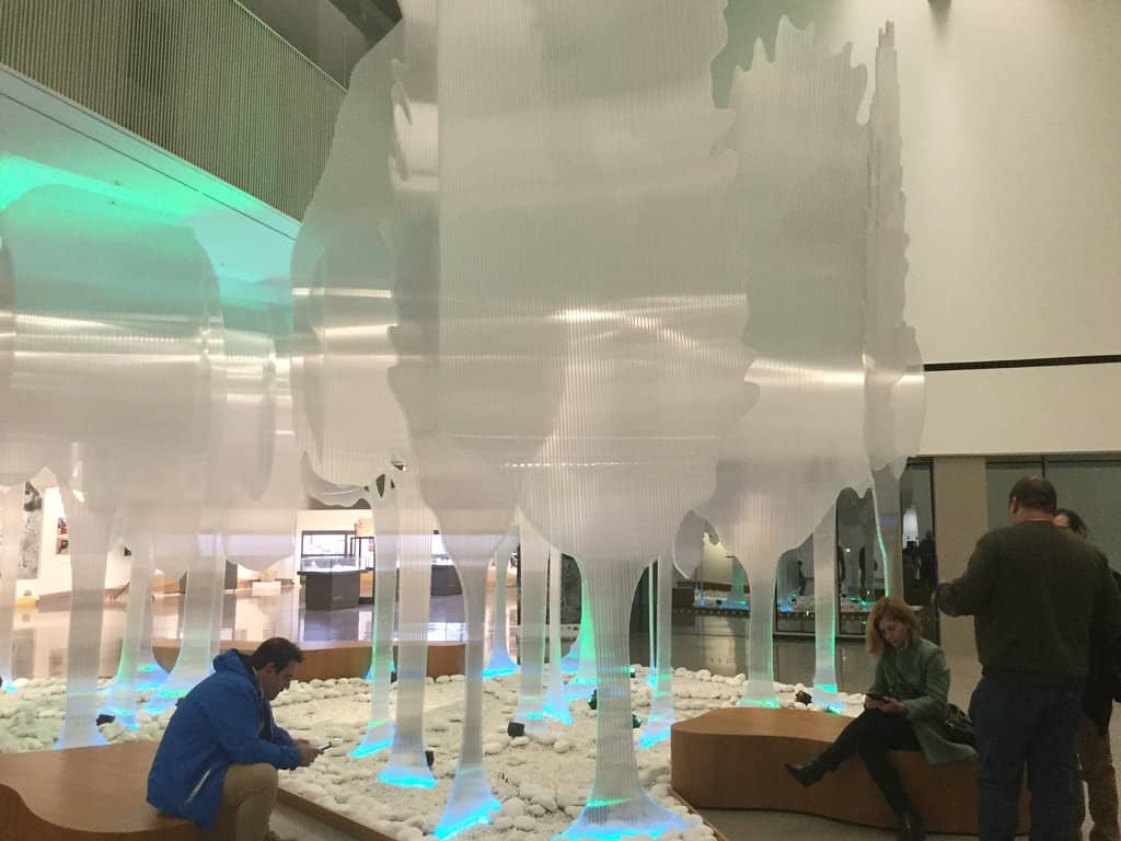 Educational Video Introduction