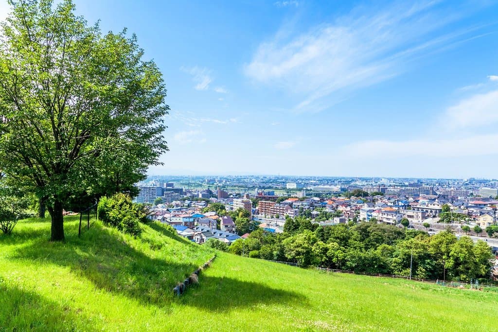多摩エリア屈指のロマンチックなスポットといえば、「都立桜ヶ丘公園 ゆうひの丘」。ここでは美しい夕日はもちろん、地上の星空のような広大な夜景を、なだらかな丘から一望することができます。数多くの有名アニメやドラマの舞台に選ばれるほどの絶景をお見逃しなく!
https://www.tokyo-park.or.jp/park/format/access065.html