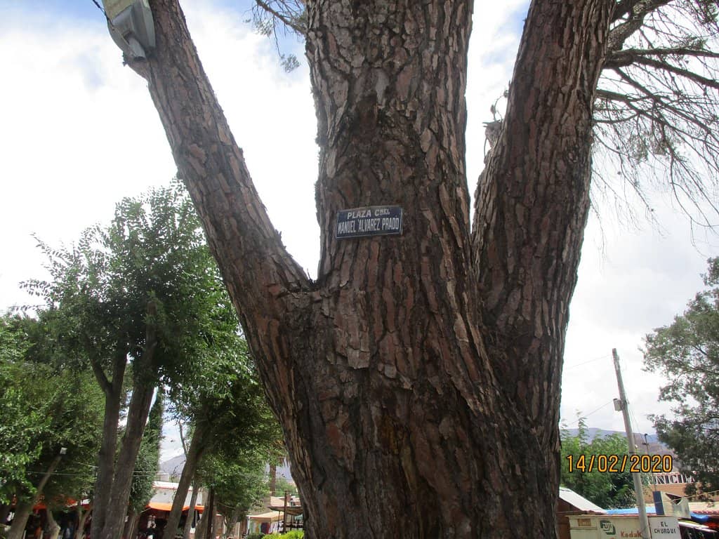 Historical Buildings