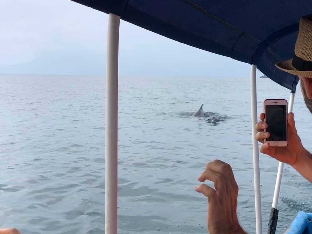 Bioluminescent Boat Trip