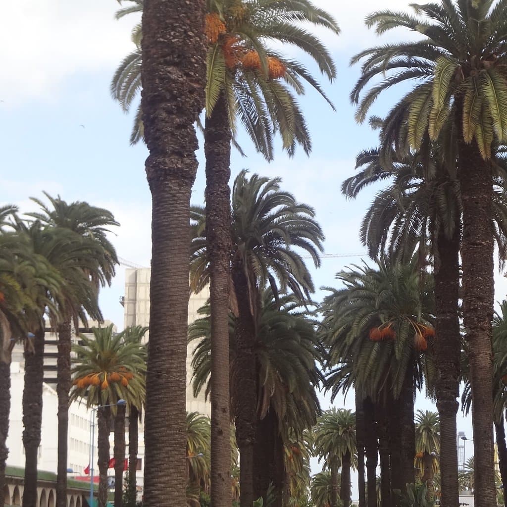 Stade Félix Houphouët-Boigny Abidjan