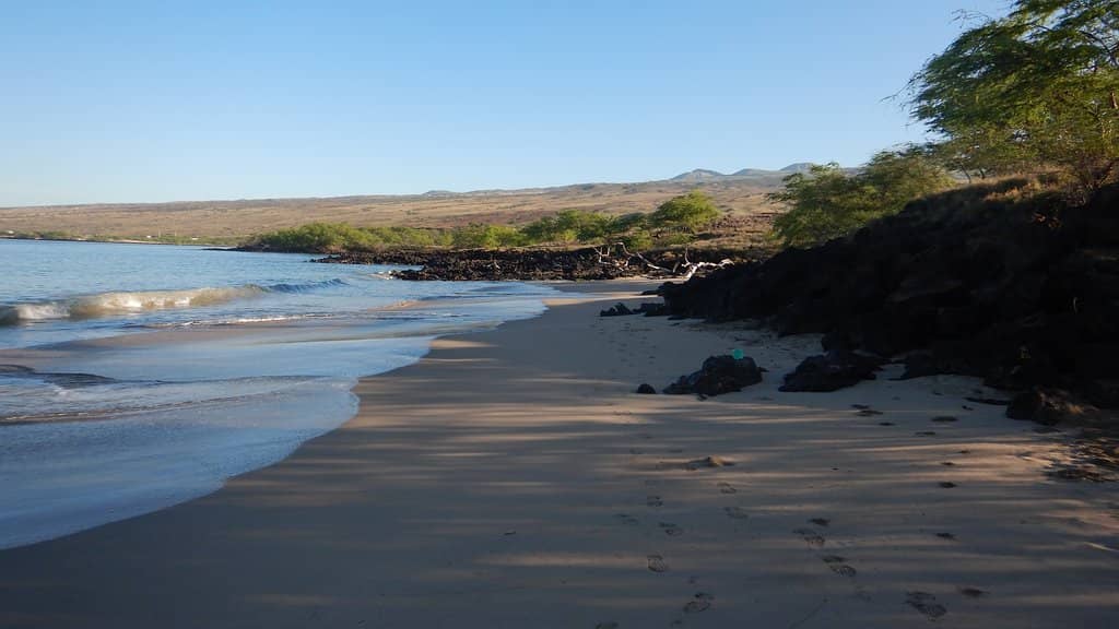 Snorkeling Opportunities