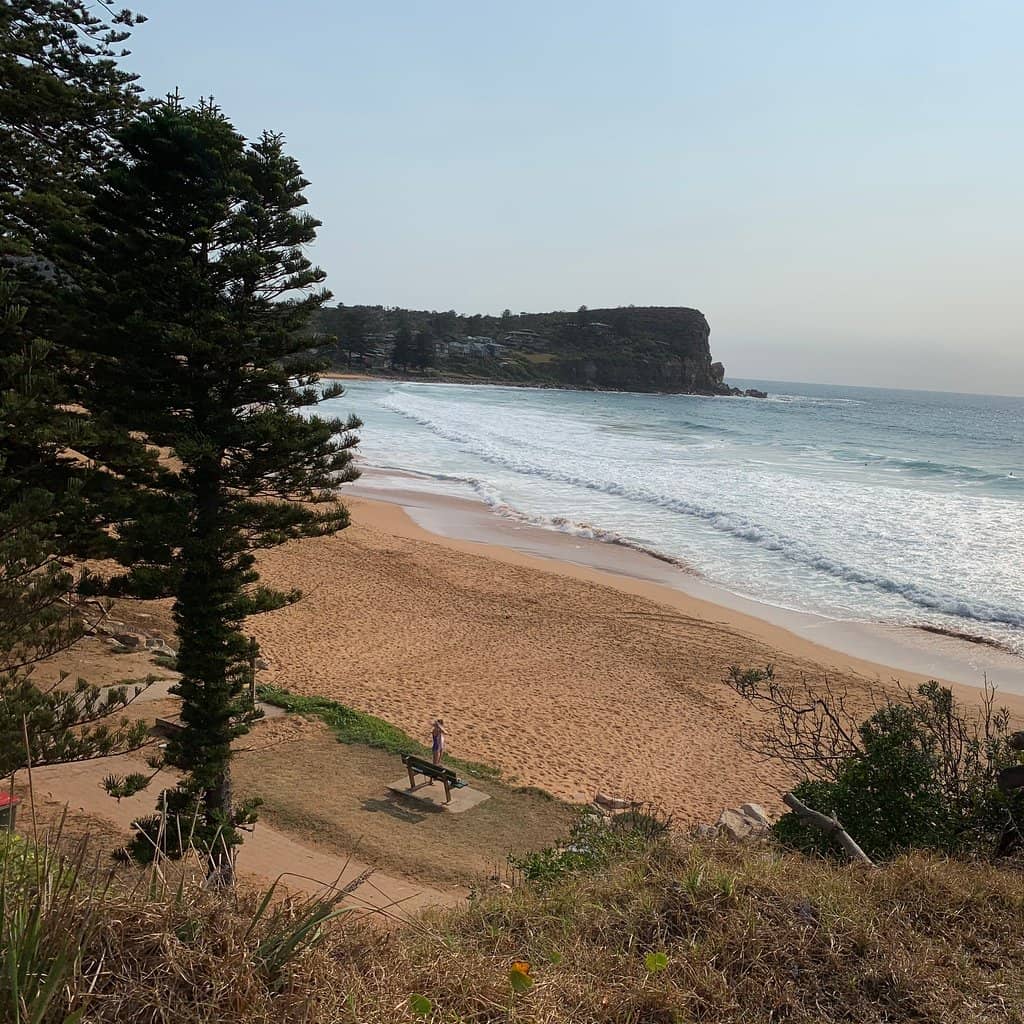 Avalon Beach Lookout