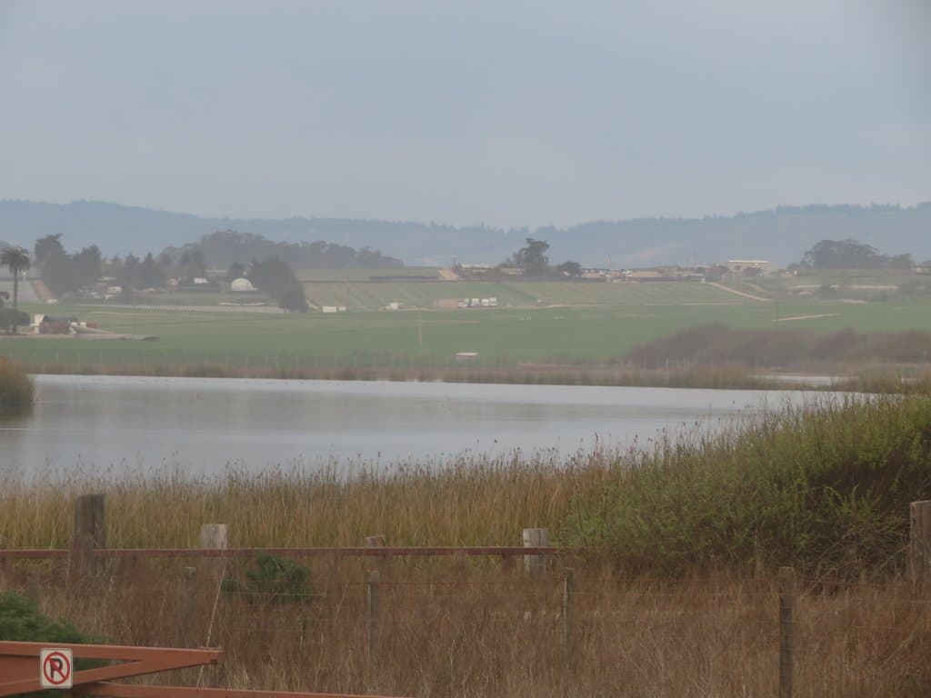 Zmudowski State Beach, Moss Landing