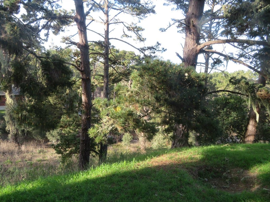 Shepherd's Knoll, 17 Mile Drive, Pebble Beach, Ca