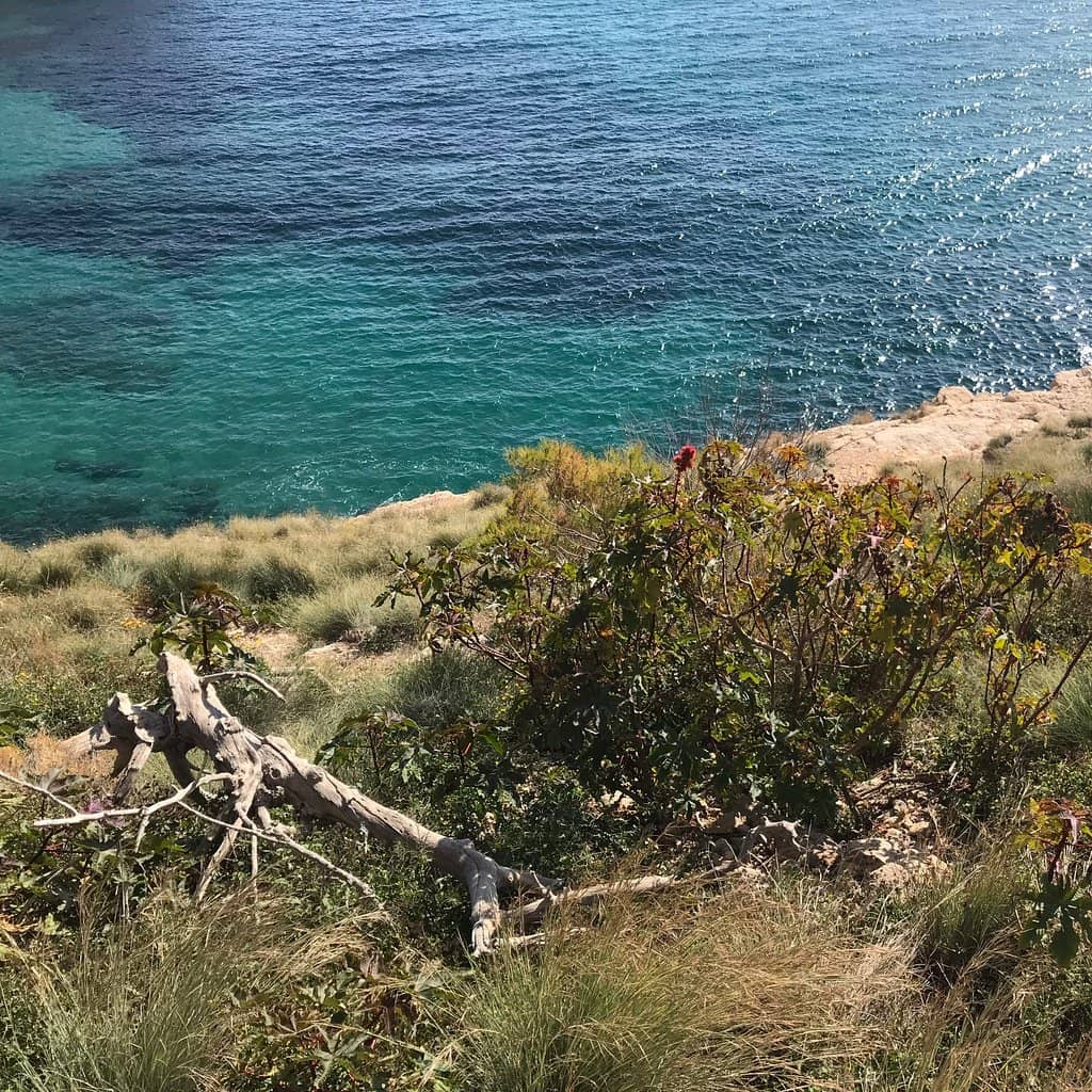 Secluded Natural Beauty