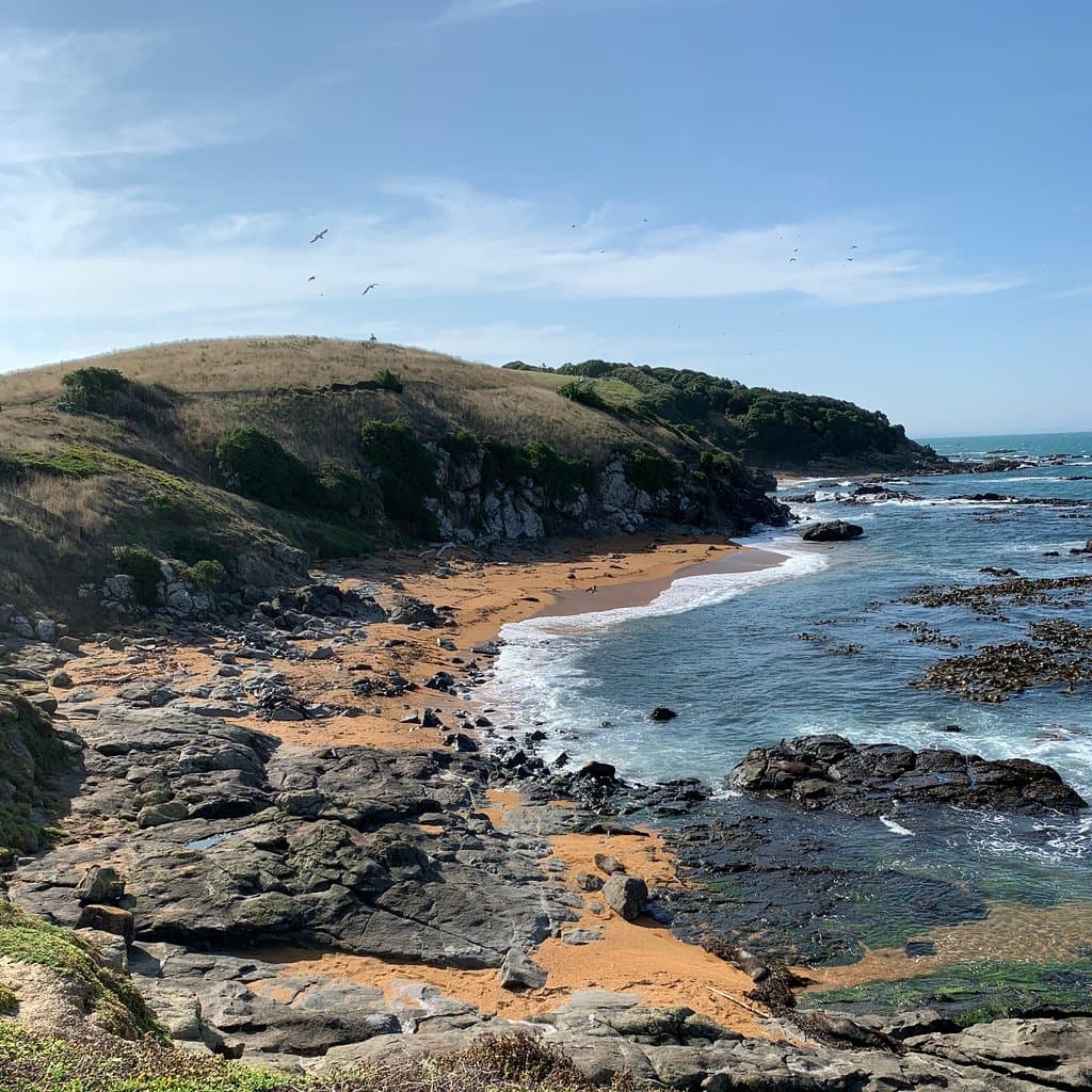 Katiki Point Lighthouse and Reserve