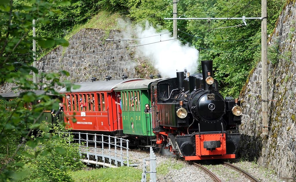 Composition vapeur avec la locomotive 105.