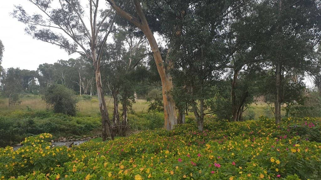Scenic Picnic Spots