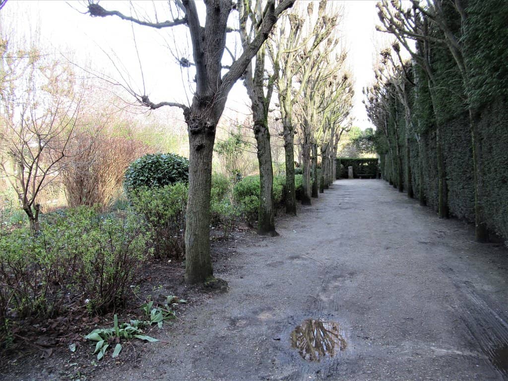 Holiday Illuminations