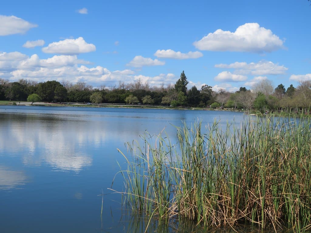 Hellyer County Park, San Jose, CA