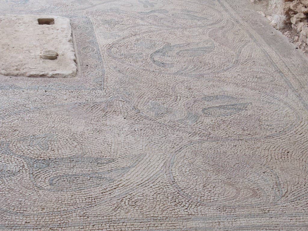 In-Situ Preservation