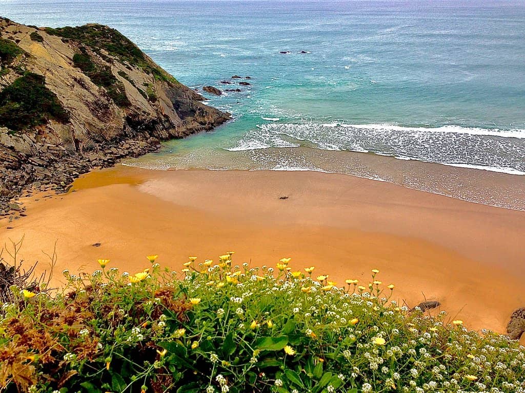 Surfer's Paradise