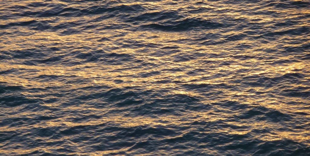 Secluded Beach Access