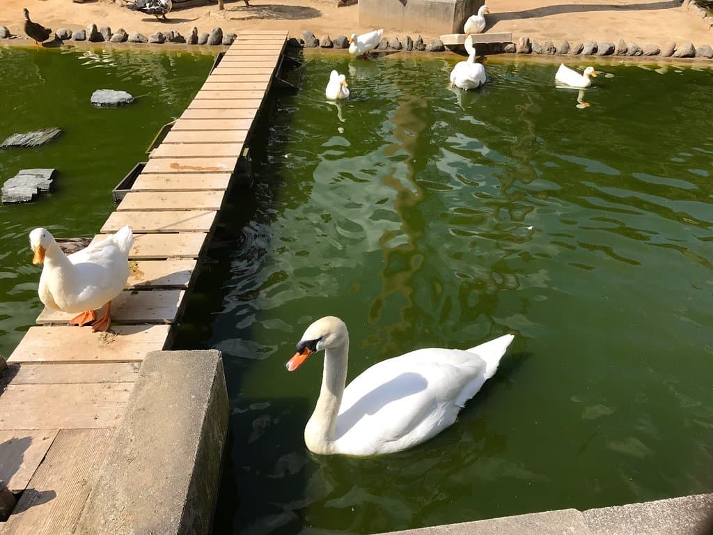 和歌山公園動物園