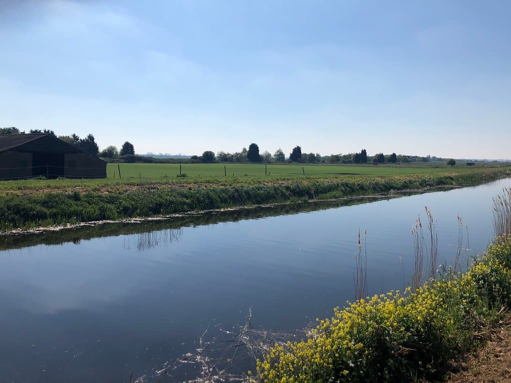 RSPB Nene Washes Eldernell