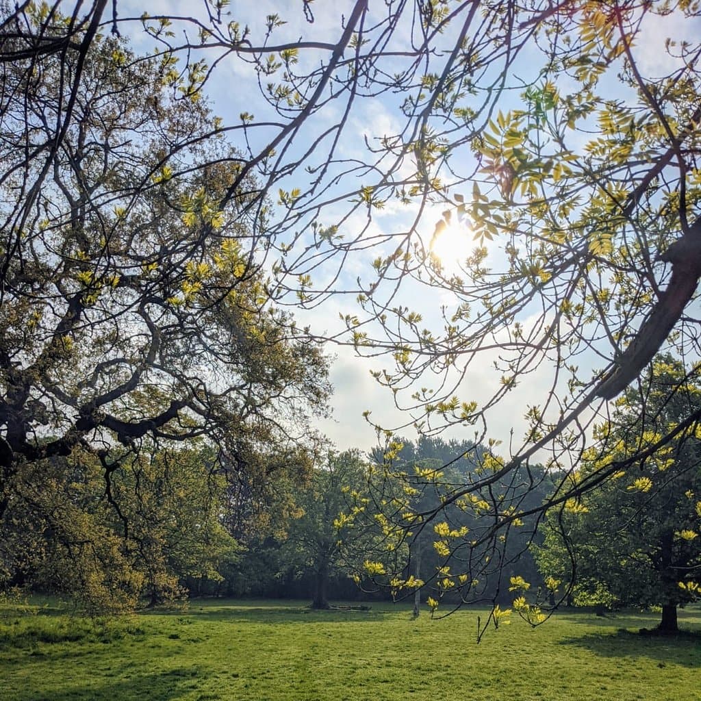 Highbury Park