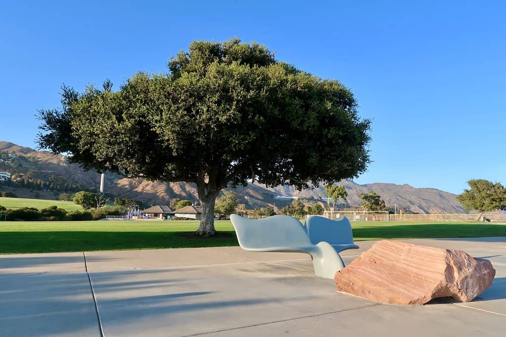 Children's Playground