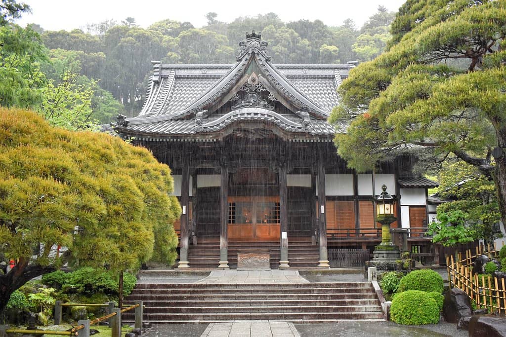 Shuzenji Bamboo Forest
