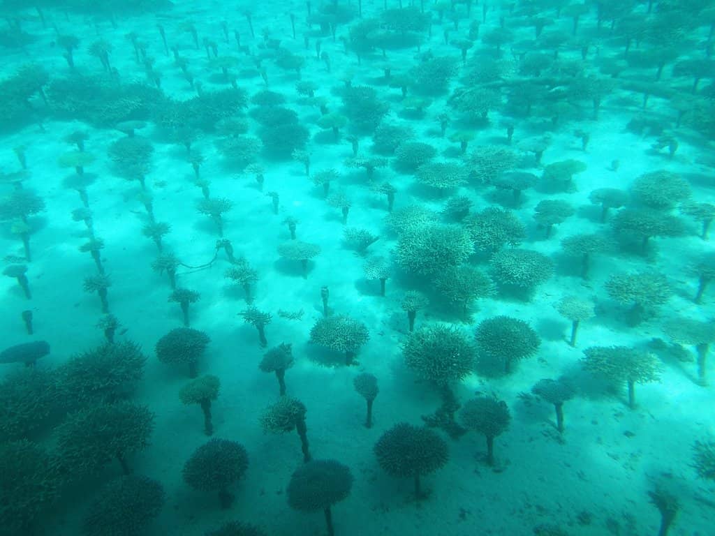 Crystal Clear Waters