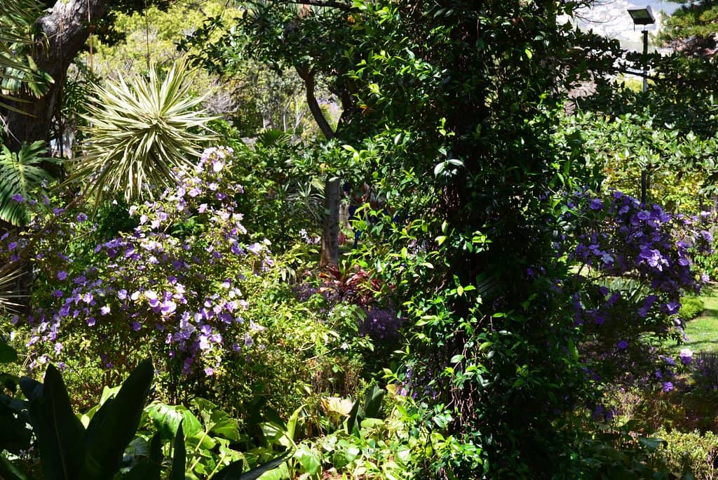 Quinta Vigia House Exterior