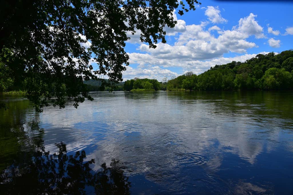 Potomac River Views