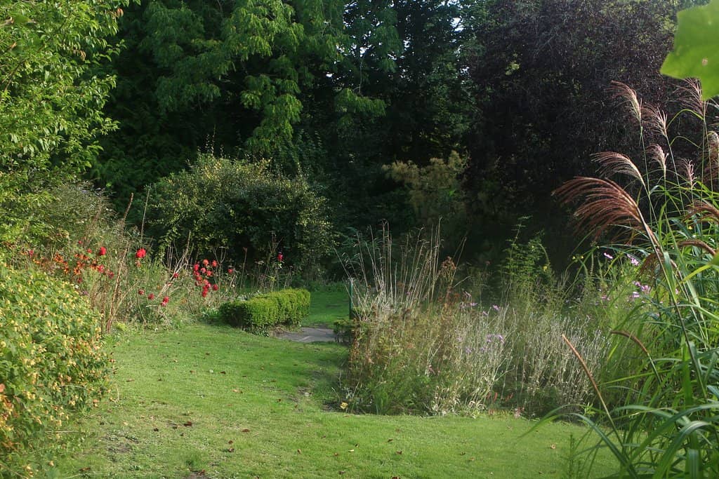 Tranquil Picnic Spots